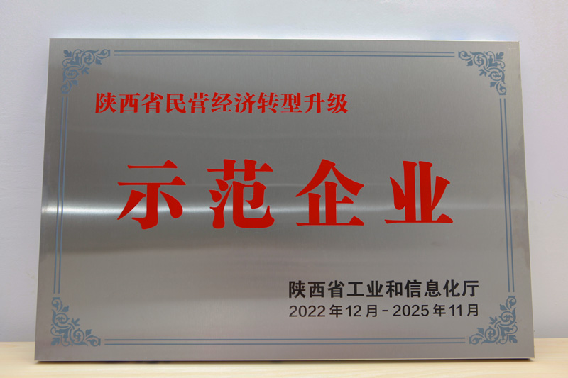 陜西省民營經濟轉型升級示范企業